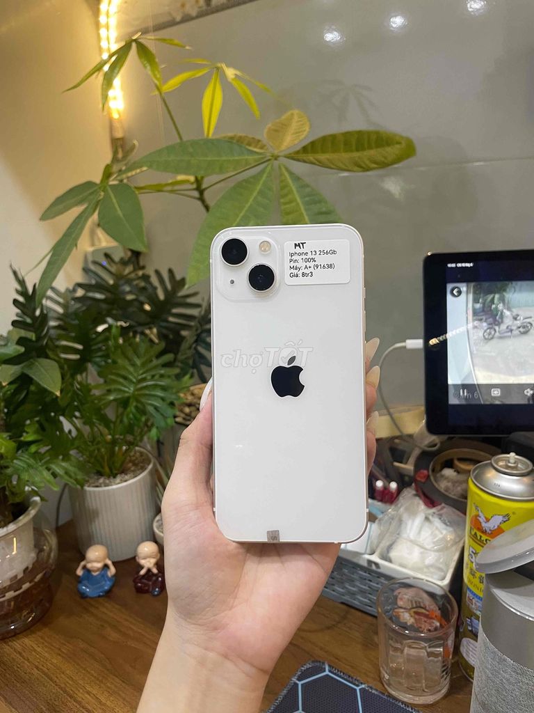 iPhone 13 256GB Trắng Quốc tế Đẹp 99%🔥. Mua bán Điện thoại tại Huyện Hóc Môn Tp Hồ Chí Minh được đăng bởi Luân Hoài hình 1