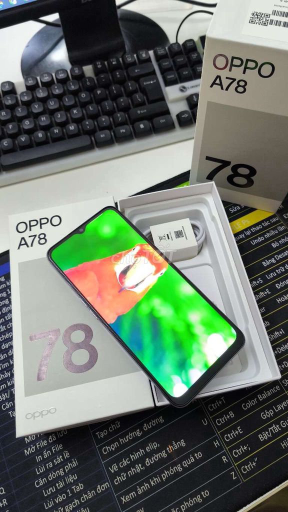 OPPO A78 6/128GB máy mới chính hãng. Mua bán Điện thoại tại Quận Tân Bình Tp Hồ Chí Minh được đăng bởi MobileShop Nova hình 1