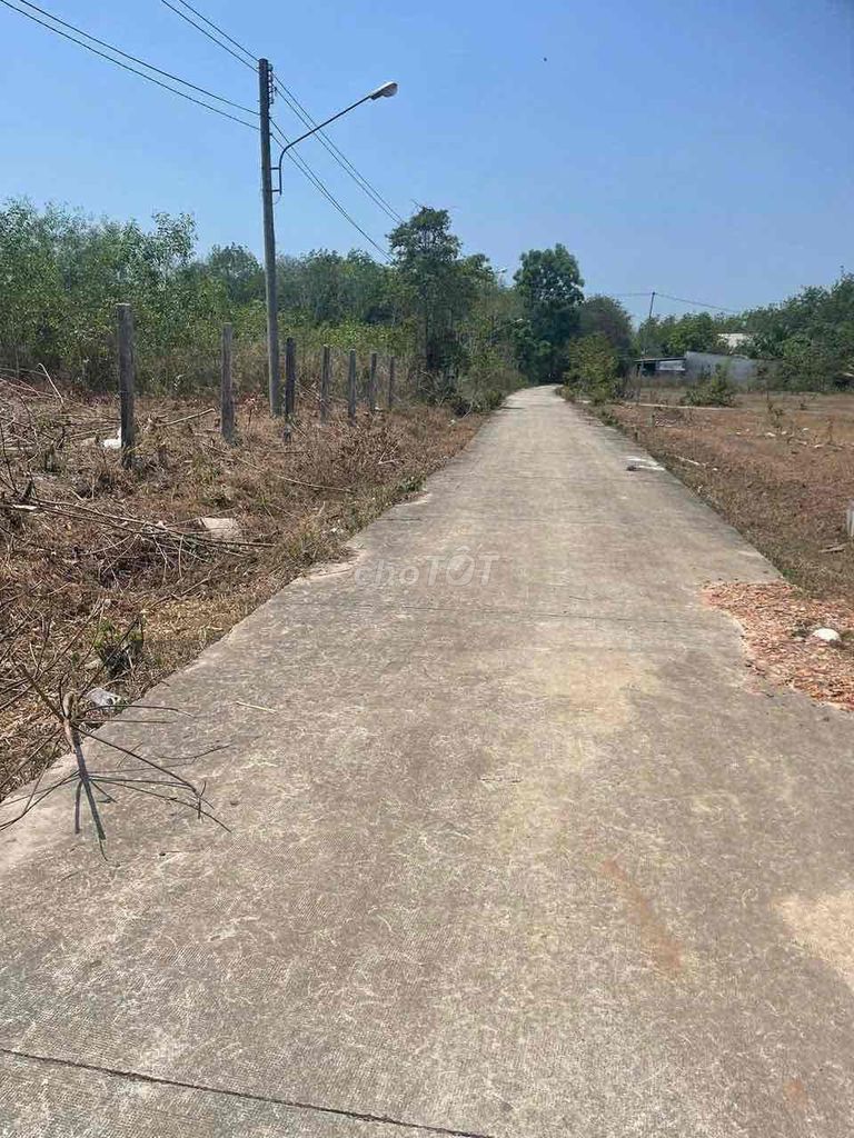 ( Chuẩn ) Đất diện tích lớn - giá siêu rẻ , hình thật- đất thựctế ảnh. Mua bán đất tại Huyện Dầu Tiếng Bình Dương được đăng bởi Mẫn Nhi hình 2