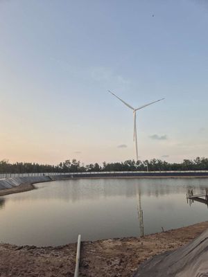 FARM TÔM DK TUYỂN KẾ TOÁN TỔNG HỢP. Việc làm tại Huyện Thạnh Phú Bến Tre được đăng bởi FARM TÔM DIN KY THẠNH PHÚ hình 1