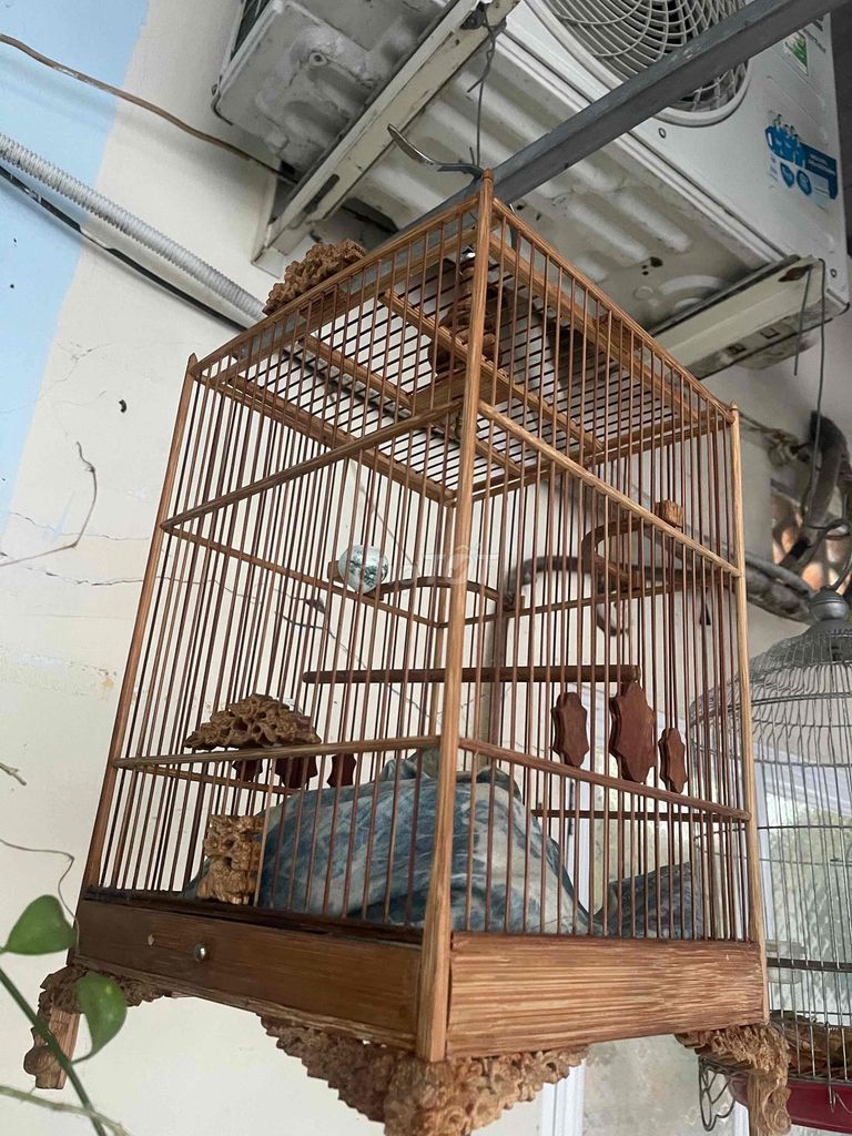 Lồng chim gỗ trang trí cổ điển màu nâu. Mua bán Phụ kiện, Thức ăn, Dịch vụ tại Thành phố Thủ Đức Tp Hồ Chí Minh được đăng bởi Tăng Văn Tùng hình 1