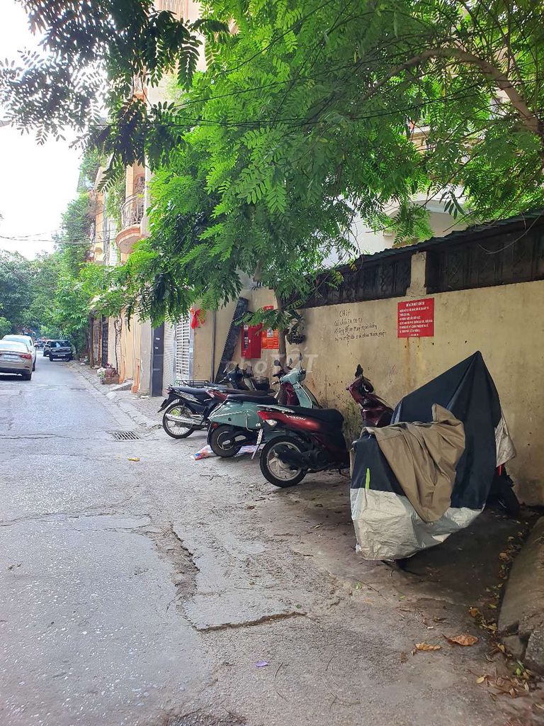 Cho Thuê Mặt Ngõ Tự Do rộng 5m-6m, Vị Trí Vàng, Nhu Cầu Tiêu Dùng Cao. - ảnh 3