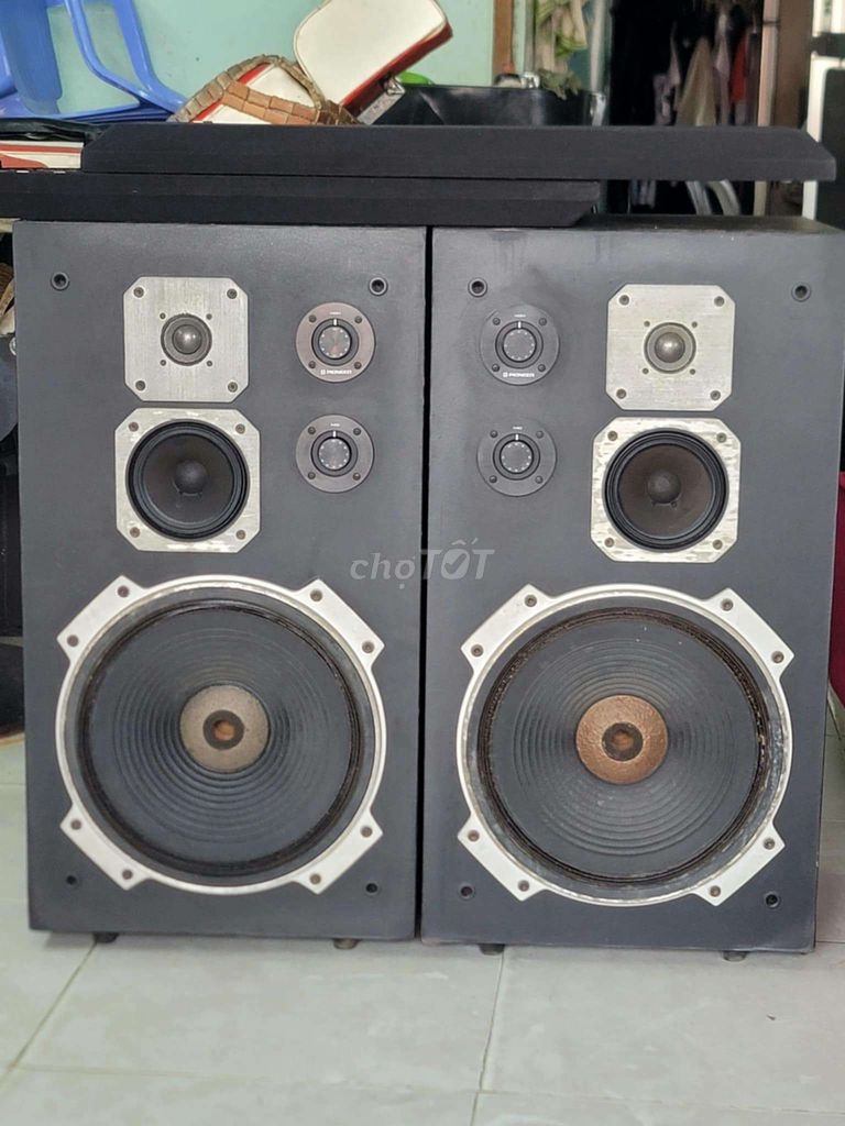 Bass 30cm pioneer cs -F99 zin