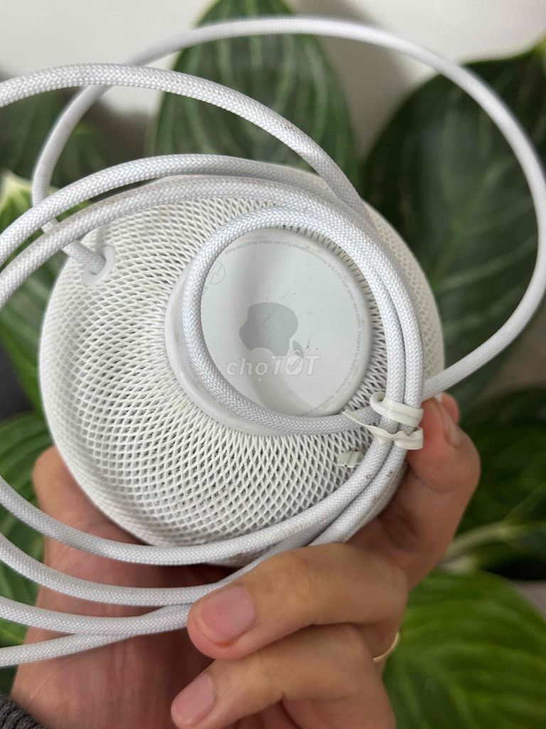 loa apple homepod mini nghe bao hay. Mua bán Tivi, Âm thanh tại Thành phố Đà Lạt Lâm Đồng được đăng bởi nhanh gọn lẹ hình 1