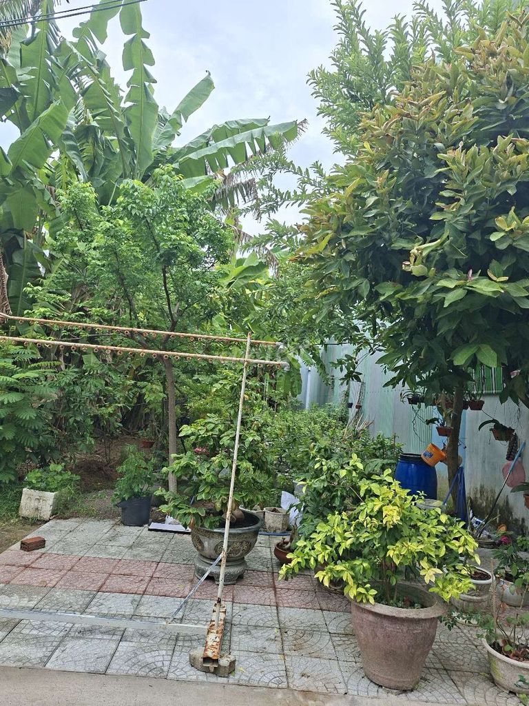 Lô đất kề đường mai đăng chơn, ngũ hành sơn