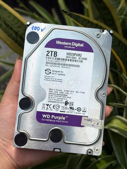 Ổ cứng HDD 2TB Đã sử dụng. Mua bán Linh kiện (RAM, Card...) tại Quận Tân Phú Tp Hồ Chí Minh được đăng bởi Hội Đồ Điện Tử hình 1