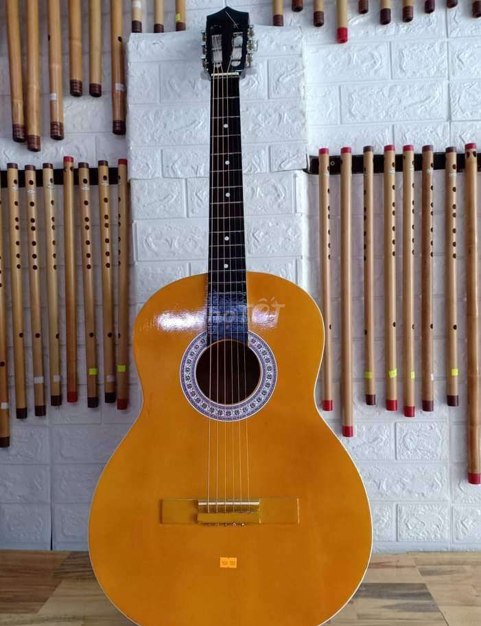 Đàn guitar thùng nhạc msp:3780