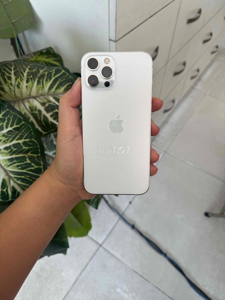 iPhone 12 Pro Max 256GB Trắng quốc tế. Mua bán Điện thoại tại Quận Gò Vấp Tp Hồ Chí Minh được đăng bởi Tony Mobile hình 1