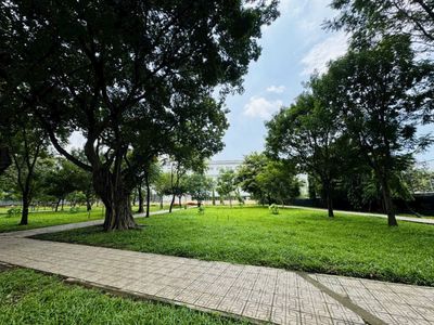 💯ĐỐI DIỆN CV🍃🍃Cặp nhà phố MTNB khu Tên Lửa 4x20m 4 tầng GẦN COOPMART. Mua bán nhà ở tại Quận Bình Tân Tp Hồ Chí Minh được đăng bởi Tịnh Liên