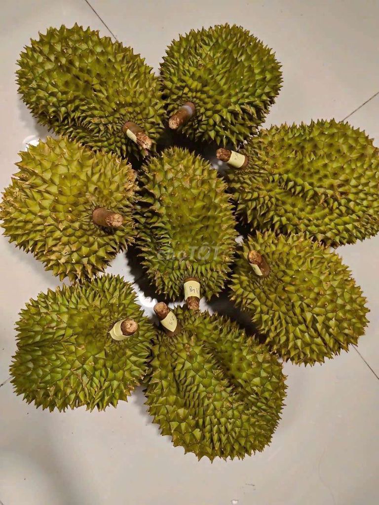 Sầu riêng chín cây sạch 100%. Mua bán Đồ ăn, thực phẩm và các loại khác tại Quận 12 Tp Hồ Chí Minh được đăng bởi Jen Nguyen hình 5