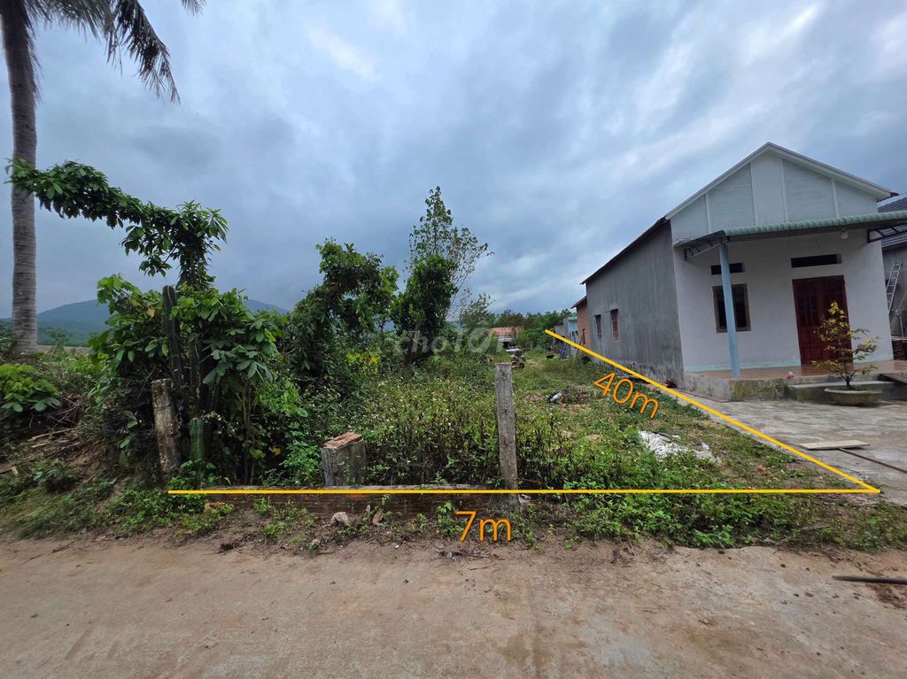 Cần bán lô đất sổ riêng ngay nhà văn hóa đồng sim, tây sơn Cần bán lô đất sổ riêng ngay nhà văn hóa đồng sim, tây sơn