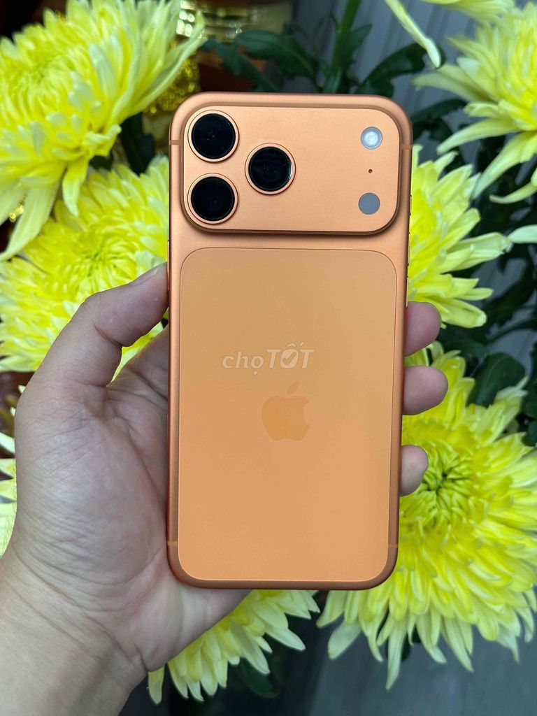 17 Pro Max 256GB Lock Mỹ Pin 100 sạc 33L Bh 1/2027. Mua bán Điện thoại tại Quận Ninh Kiều Cần Thơ được đăng bởi Quý Mobile Cần thơ hình 1