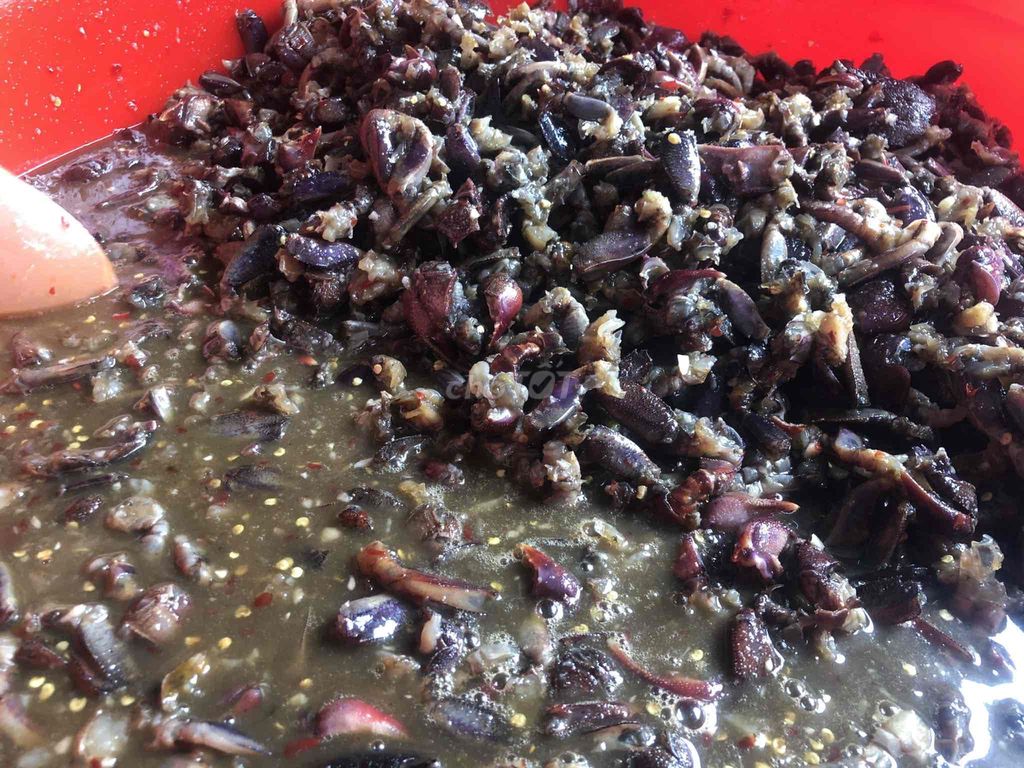 Ba khía trộn sẵn bỏ tủ lạnh ăn dần 1,1-1,3kg 1 hủ. Mua bán Đồ ăn, thực phẩm và các loại khác tại Thành phố Thủ Đức Tp Hồ Chí Minh được đăng bởi Lâm Dỉ hình 4
