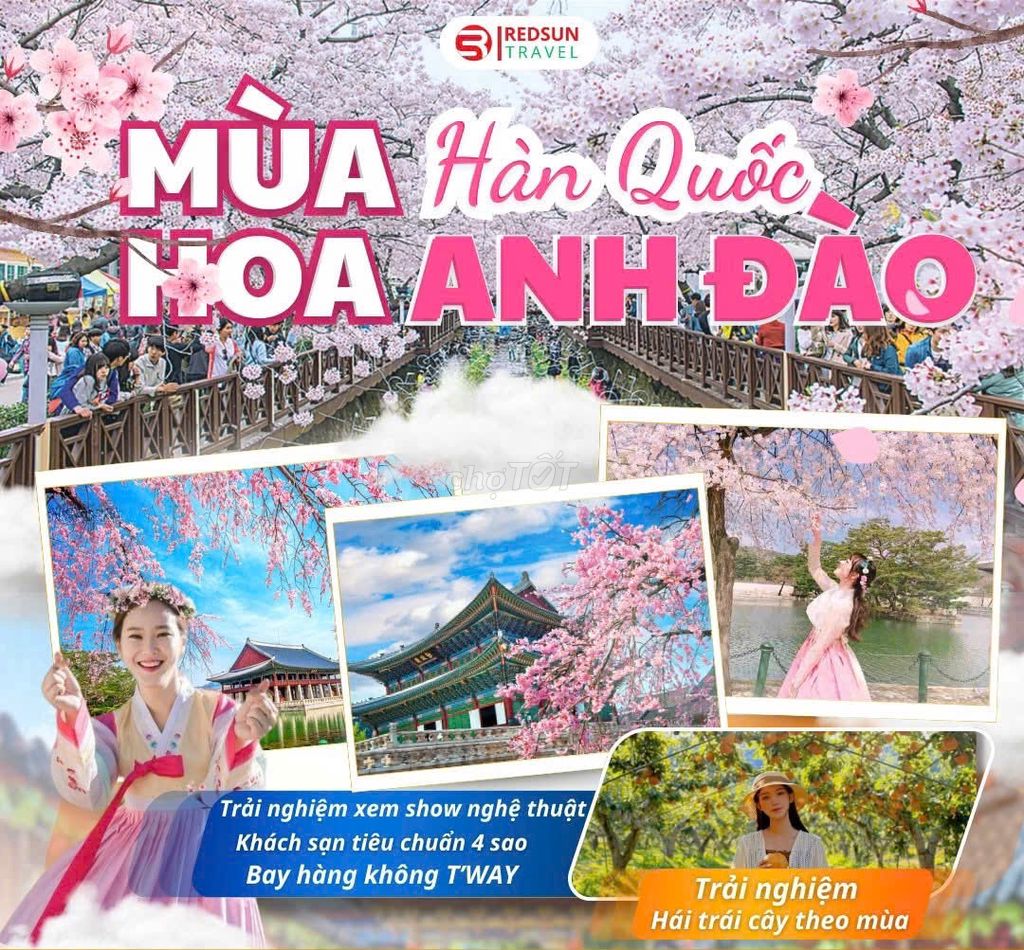 Tour HÀN QUỐC MÙA HOA  ANH ĐÀO_5n4đ