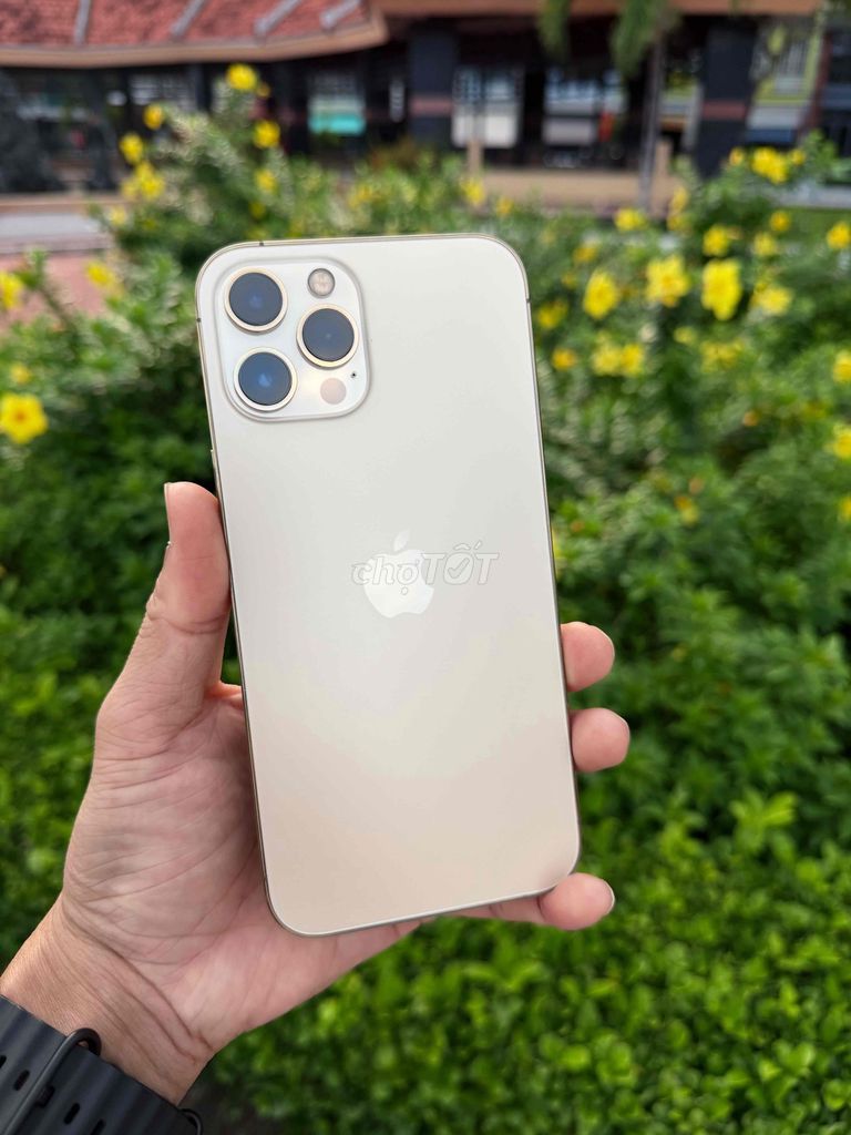 Apple iPhone 12 Pro Max Vàng 128G. Mua bán Điện thoại tại Thành phố Vĩnh Long Vĩnh Long được đăng bởi Nguyễn Phúc Hậu hình 1