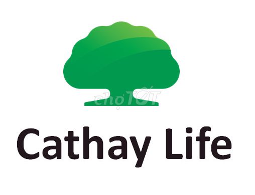 Công Ty Trách Nhiệm Hữu Hạn BHNT Cathay Việt Nam – Quản Lý Tiềm Năng / Chuyên Viên Kinh Doanh – Thành phố Nha Trang