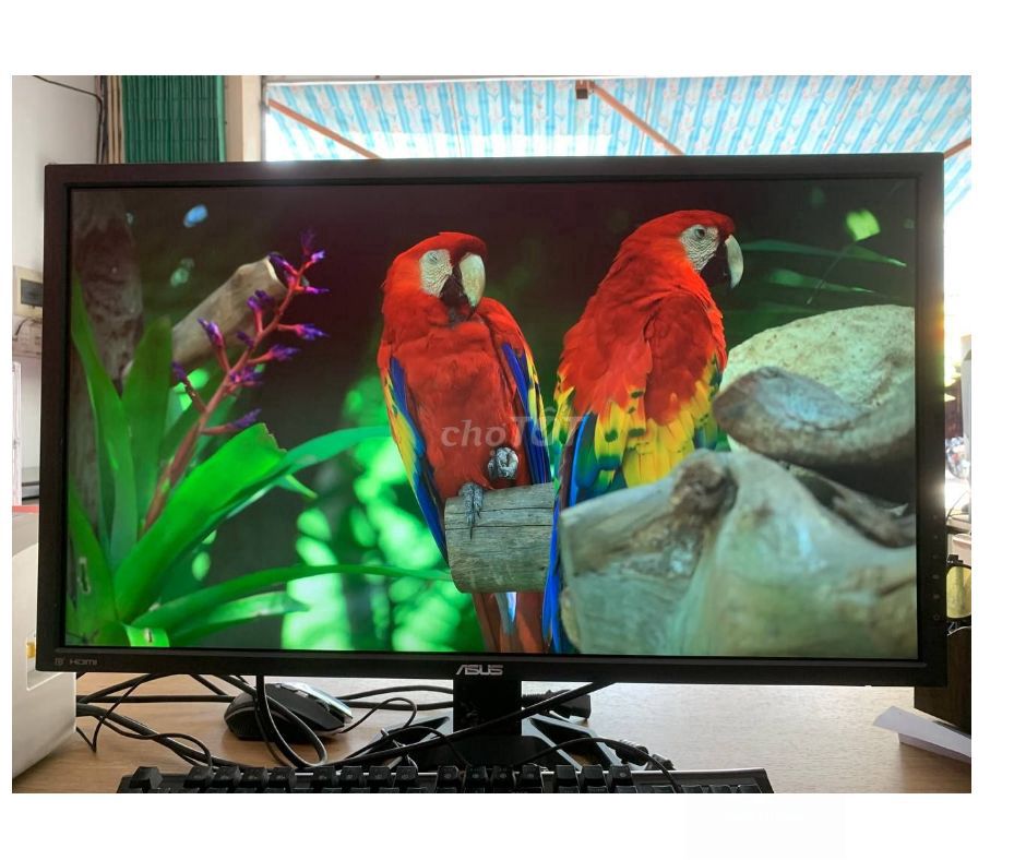 Màn asus 4k 28 inch