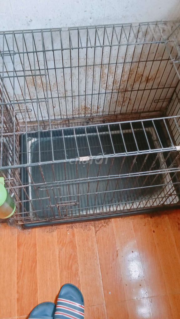 Mình có lồng chó cũ ko dùng đến kích thước 60x80cm