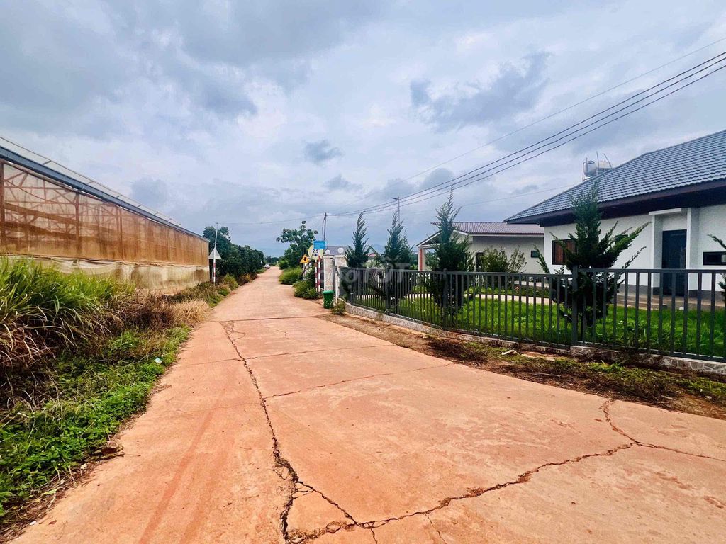 Chính chủ cho Thuê Nhà và Đất Cảnh view cao đẹp & Thiên Nhiên