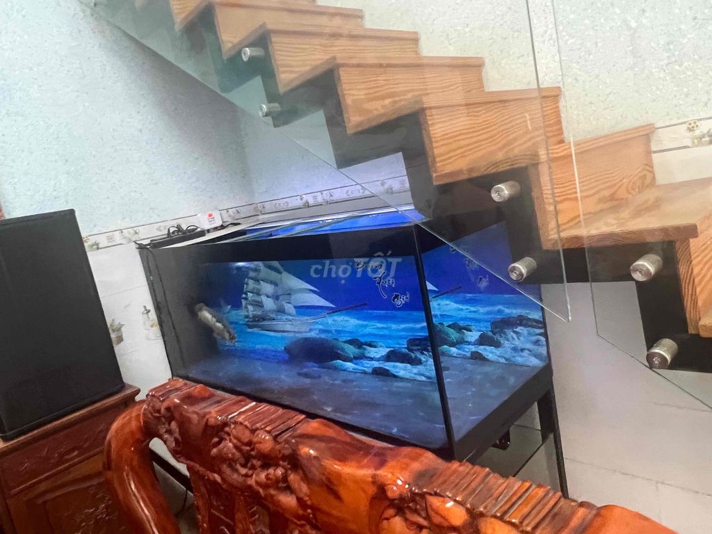 Hồ cá cảnh 1m7x70cmx60cm. Mua bán Phụ kiện, Thức ăn, Dịch vụ tại Thành phố Biên Hòa Đồng Nai được đăng bởi Hoàng Sơn hình 1