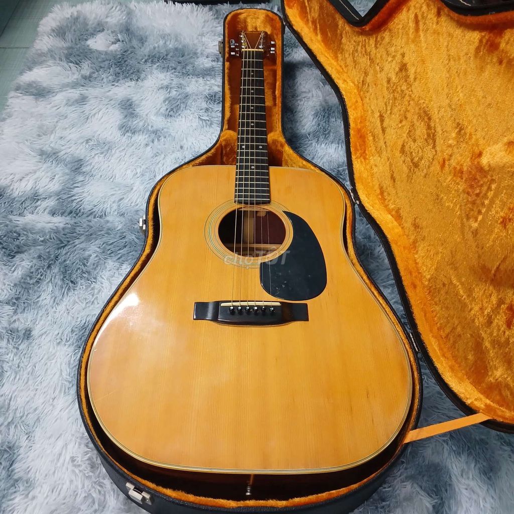 Guitar Acoustic Marchis M25