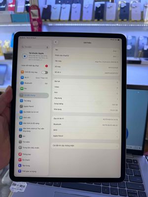Apple iPad Pro 2020 12.9 inch 128GB