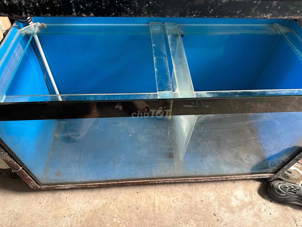 bán hồ 120x50x60. Mua bán Phụ kiện, Thức ăn, Dịch vụ tại Quận 12 Tp Hồ Chí Minh được đăng bởi Dương Phước Lộc hình 1