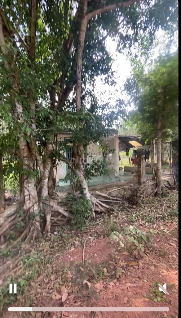 Bán đất DT751 Minh Hoà Dầu Tiếng có nhà sẵn. Mua bán Đất tại Huyện Dầu Tiếng Bình Dương được đăng bởi Thái hình 5