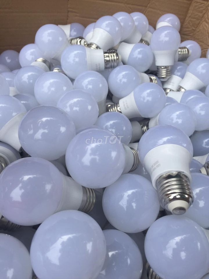 Bóng Led bulb 3w 5w 7w 9w 12w 15w Trắng/ Vàng