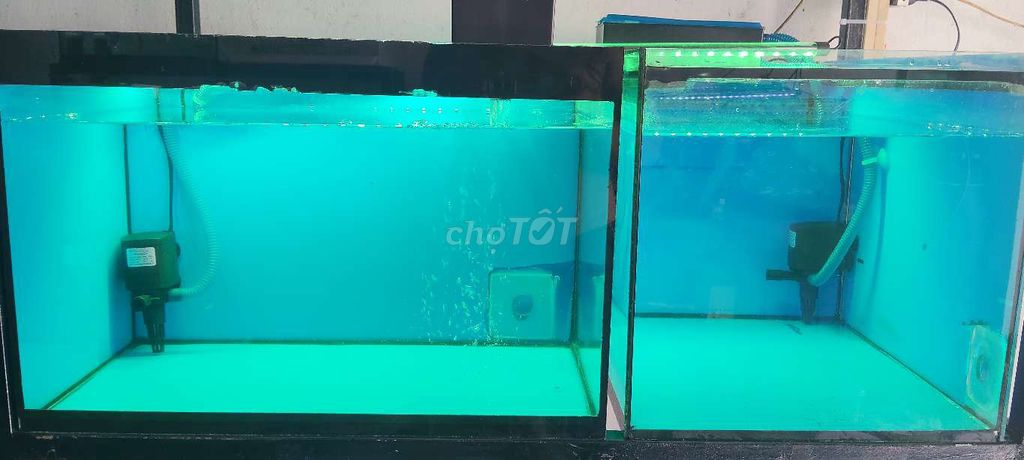 Hồ nuôi cá 6/4/4 mvt đẹppp. Mua bán Phụ kiện, Thức ăn, Dịch vụ tại Huyện Trảng Bàng Tây Ninh được đăng bởi CÁ CẢNH TB hình 2