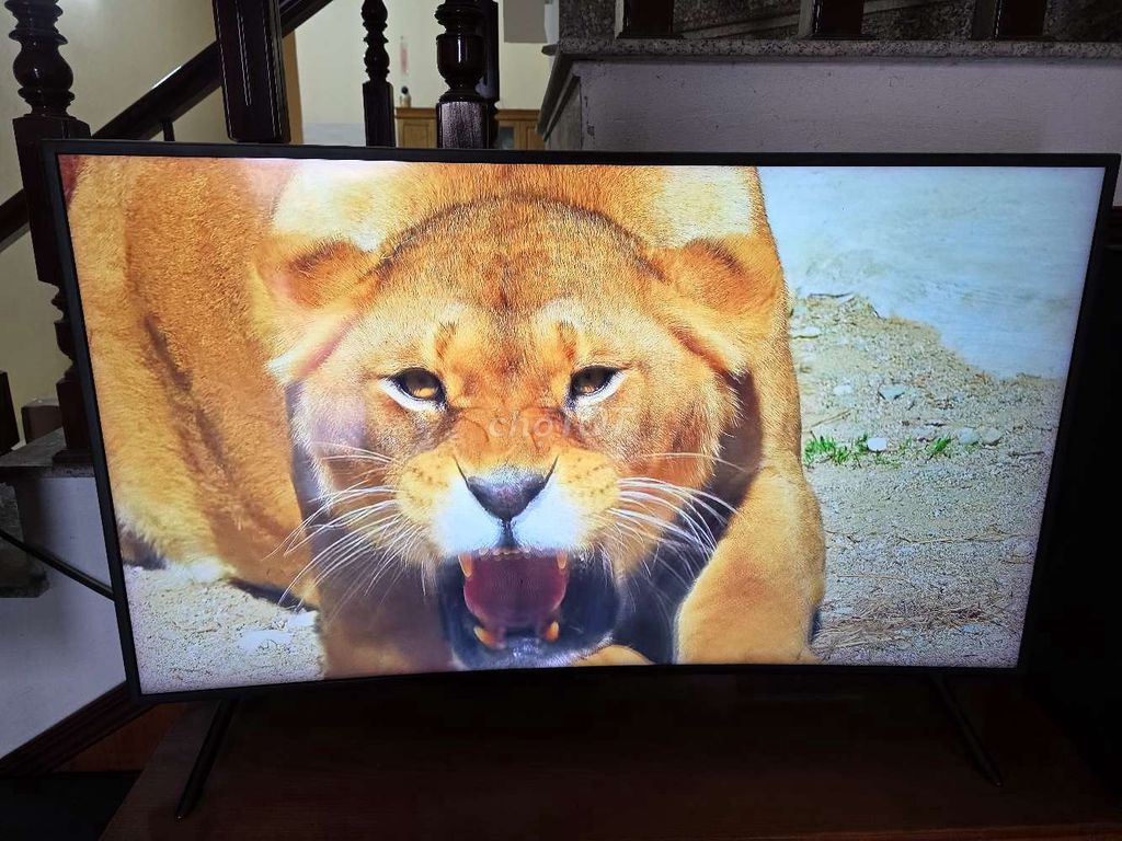 Tivi Samsung 4K 49 inch màn hình cong. Mua bán Tivi, Âm thanh tại Huyện Quỳnh Phụ Thái Bình được đăng bởi Nguyen văn nam hình 1