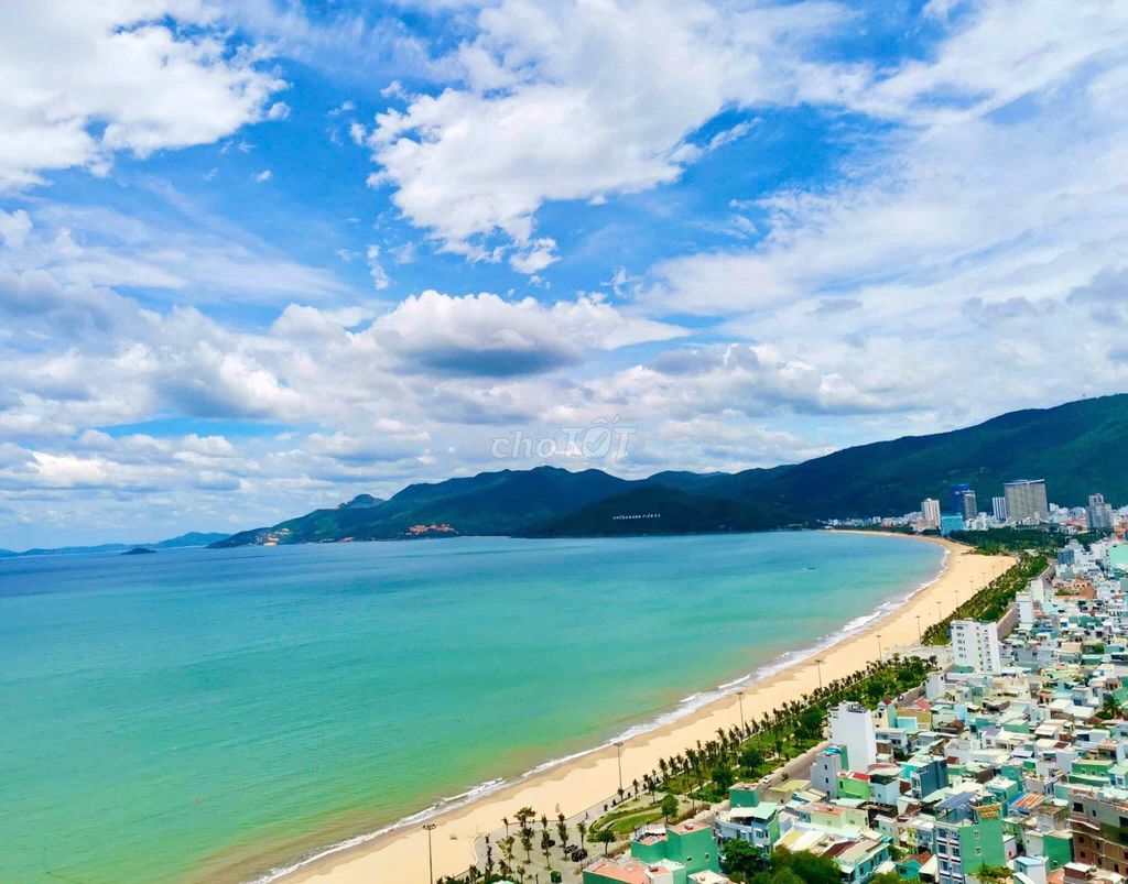 Suất nội bộ căn góc đẹp nhất toà tms với view trực diện biển giá rẻ Suất nội bộ căn góc đẹp nhất toà tms với view trực diện biển giá rẻ