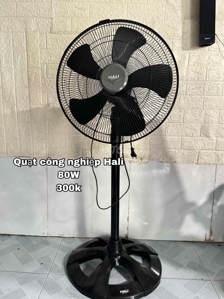 Quạt đứng công nghiệp Hali 80W