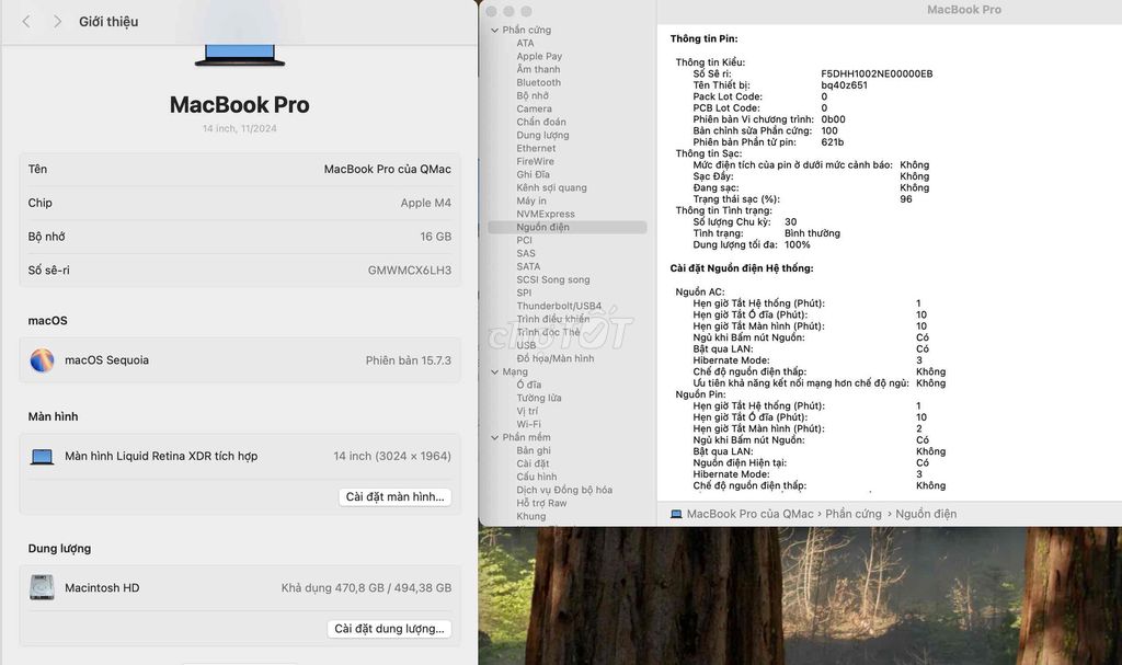 MB Pro 14 M4 16GB/512GB - Pin 100%, BH 07/2026. Mua bán Laptop tại Quận 3 Tp Hồ Chí Minh được đăng bởi QMac Store hình 1
