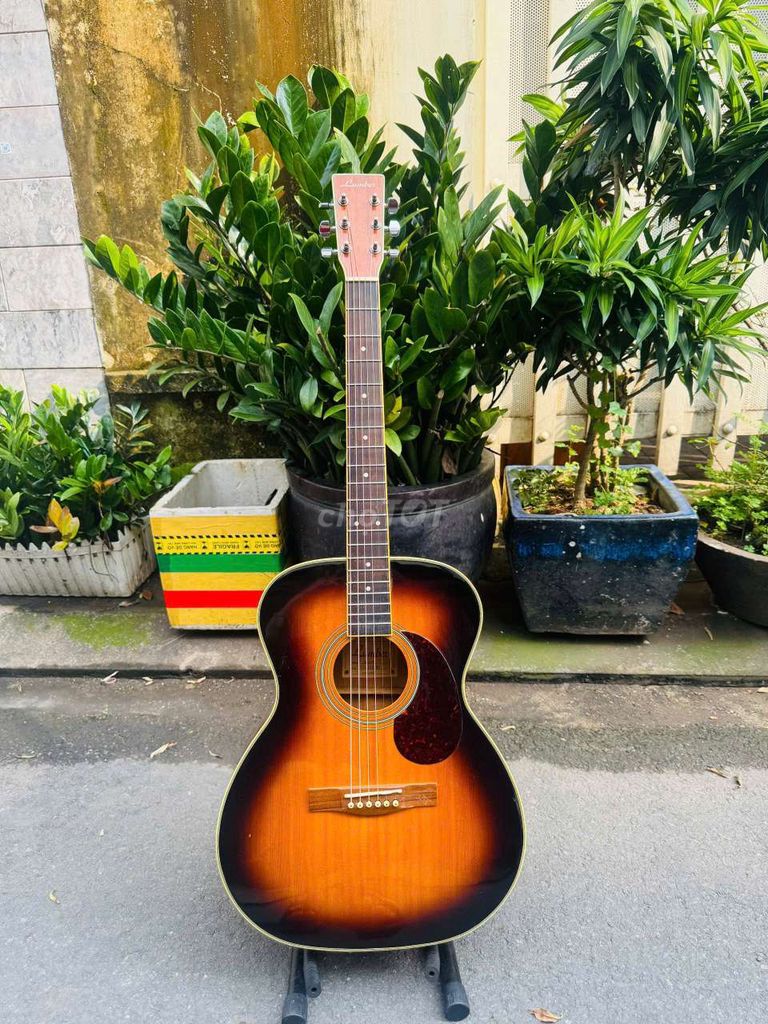 Khuyến mãi guitar acoustic Lumber siêu rẻ