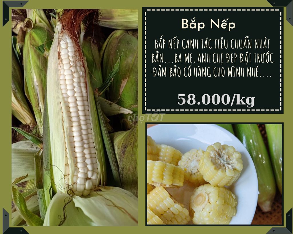 0946163866 - BẮP NẾP HỮU CƠ (KG)