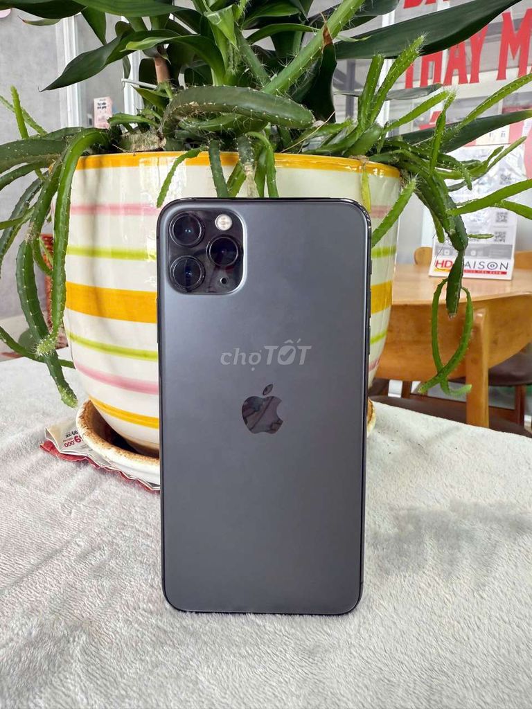 Apple iPhone 11 Pro Max 256GB Xám. Mua bán Điện thoại tại Quận Ninh Kiều Cần Thơ được đăng bởi Di Động Cần Thơ hình 1
