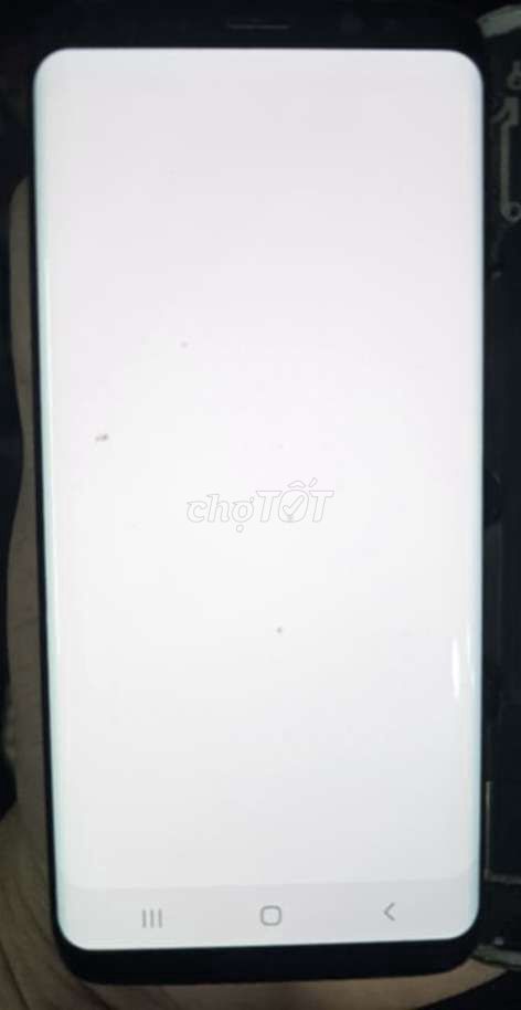 Màn hình Samsung S8 Đã sử dụng. Mua bán Linh kiện (RAM, Card...) tại Quận Tân Phú Tp Hồ Chí Minh được đăng bởi david nguyen  hình 1