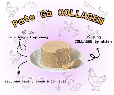 Thức ăn cho chó mèo vị Gà Collagen