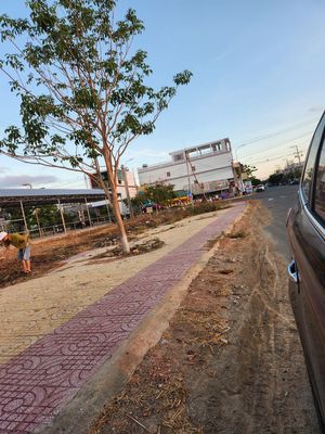CHO THUÊ ĐẤT ĐỐI DIỆN CHỢ LẦU , BẮC BÌNH , BÌNH THUẬN. Cho thuê đất tại Huyện Bắc Bình Bình Thuận được đăng bởi Đặng Minh Phương Trân