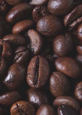 Cà phê máy tại Sài Gòn - Hương vị đột phá giá sỉ. Mua bán Đồ ăn, thực phẩm và các loại khác tại Quận 12 Tp Hồ Chí Minh được đăng bởi Escovina coffee