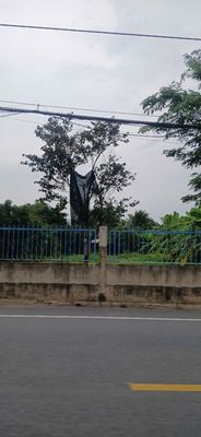 Bán đất 200 m2 diện tích lớn đường Long Thuận quận 9, TP.Thủ Đức. Mua bán đất tại Thành phố Thủ Đức Tp Hồ Chí Minh được đăng bởi Hoahung