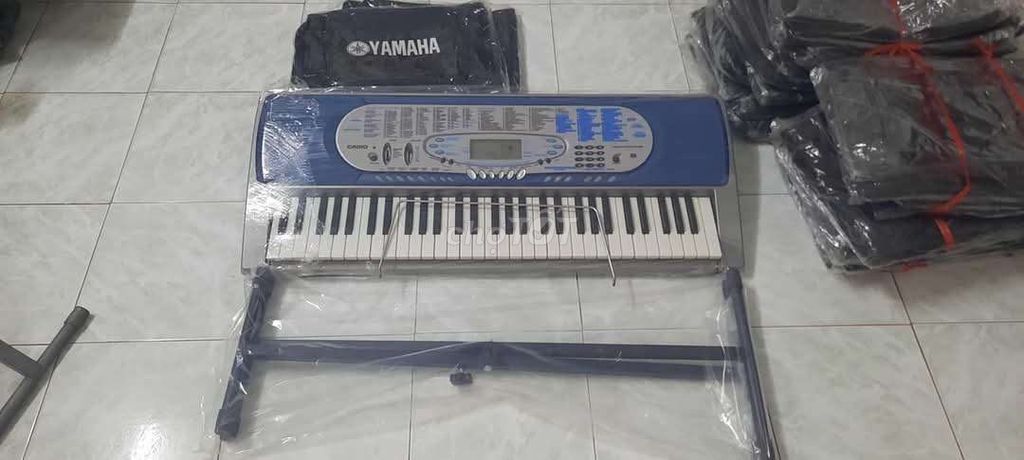 Đàn organ casio LK 65 cực hay phím sáng