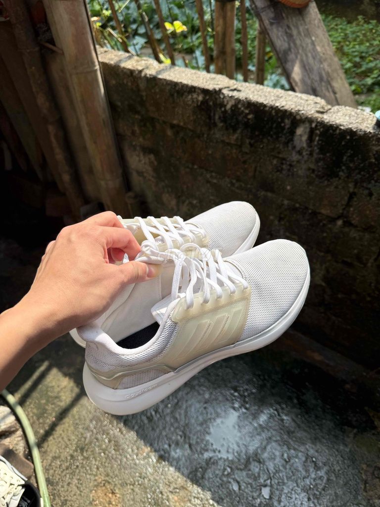 Giày chạy bộ Adidas Unisex Trắng. Mua bán Giày dép tại Huyện Thanh Oai Hà Nội được đăng bởi Lê Văn Thành hình 1