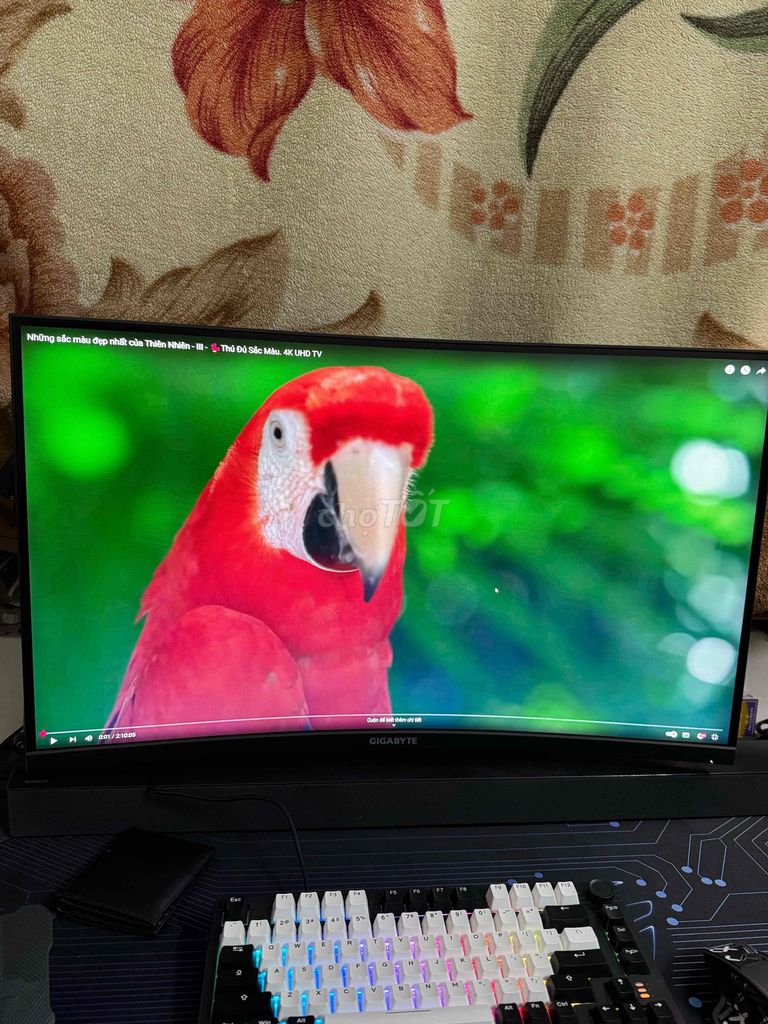 màn gigabyte m32qc 32inch 2k 165hz