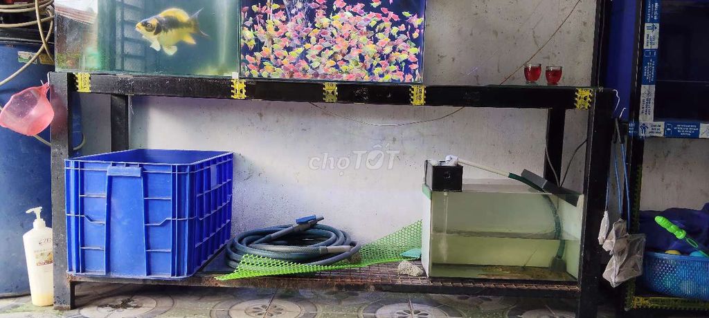 Chân hồ cá sắt 2 tầng 1m8x40cmcao79. Mua bán Phụ kiện, Thức ăn, Dịch vụ tại Huyện Trảng Bàng Tây Ninh được đăng bởi CÁ CẢNH TB hình 1