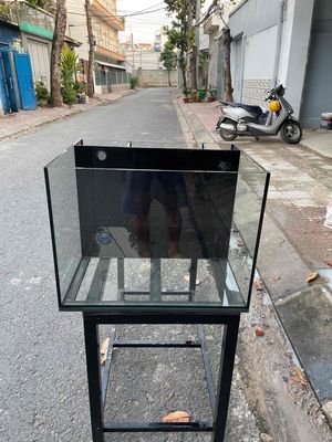 Bể cá Kính trong suốt 60x45x45 lọc vách lưng MỚI. Mua bán Phụ kiện, Thức ăn, Dịch vụ tại Quận Bình Tân Tp Hồ Chí Minh được đăng bởi Đinh Đức 