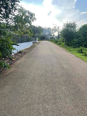 🏡 Đất Sông Xoài Phú Mỹ 100m² Thổ Cư – Giá Chỉ 1,5 Tỷ