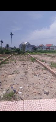 Em cần bán gấp lô đất nằm sát dự án FLAMINGO. Mua bán đất tại Huyện Giao Thủy Nam Định được đăng bởi nghia nguyen