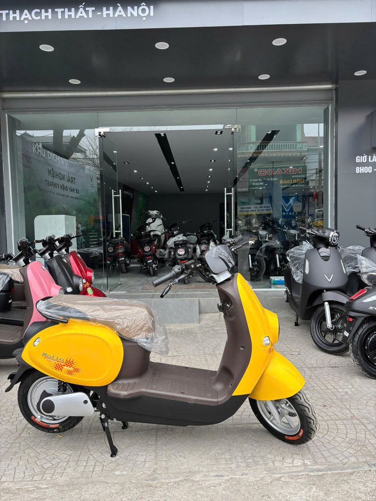 Cần bán Motio Vàng mới mua chưa qua sử dụng. Mua bán Xe máy tại Quận Tân Bình Tp Hồ Chí Minh được đăng bởi Lê Văn Bình hình 1